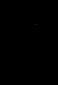 panther.gif (14783 bytes)